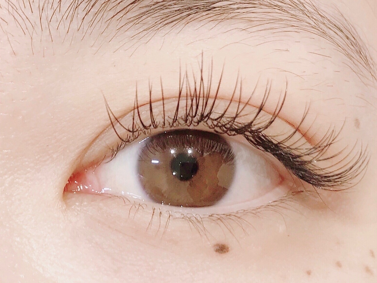 Avenir 柏たなか店 アブニール アイリスト求人 パート アルバイト 柏エリア 美容室 美容師求人 転職情報のtocoroni トコロニ