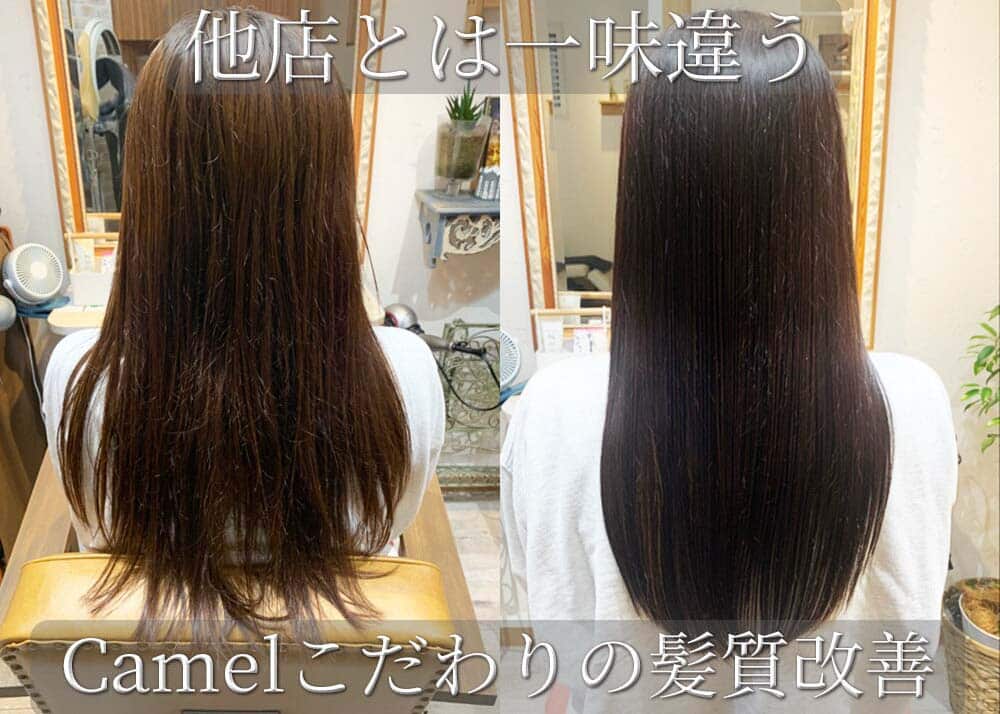 Camel hairdesign_求人画像